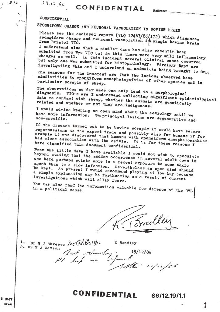 Ray Bradley Document